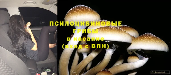 бутират Горнозаводск