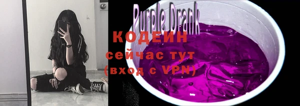 a pvp Горняк