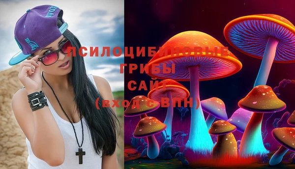 a pvp Горняк