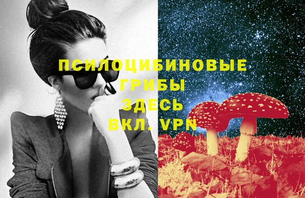 бутират Горнозаводск