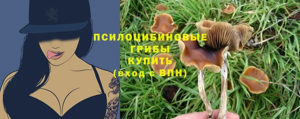a pvp Горняк