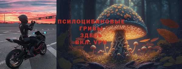 бутират Горнозаводск