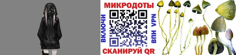 Галлюциногенные грибы мухоморы  shop как зайти  Арзамас 